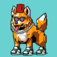 DogePunks #3899