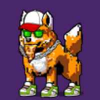 DogePunks #219