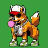 DogePunks #3500