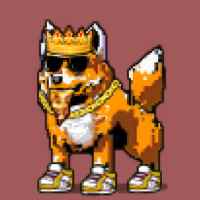 DogePunks #2644