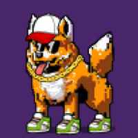 DogePunks #968