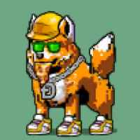 DogePunks #2717