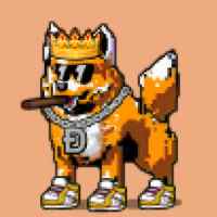 DogePunks #14