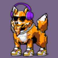 DogePunks #532