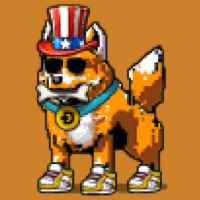 DogePunks #3669