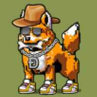 DogePunks #4107