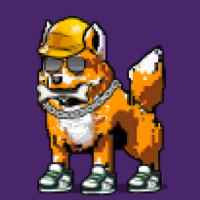 DogePunks #1624