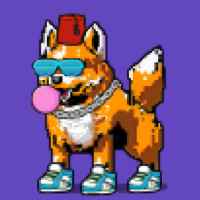 DogePunks #1035