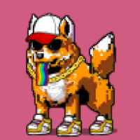 DogePunks #8