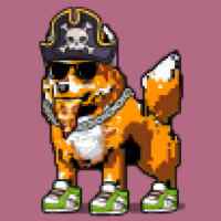 DogePunks #2155