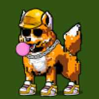 DogePunks #739