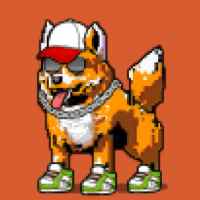DogePunks #4997