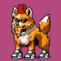 DogePunks #1092