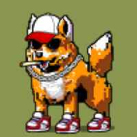 DogePunks #4573