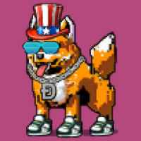 DogePunks #4061