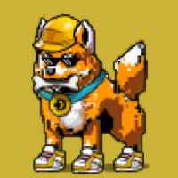 DogePunks #3348
