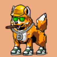 DogePunks #4345