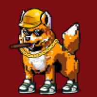 DogePunks #2111