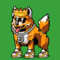 DogePunks #1716