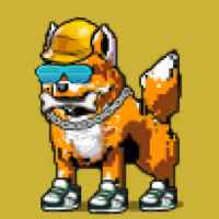 DogePunks #2047