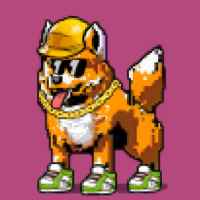 DogePunks #906