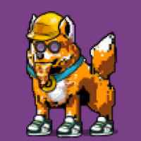 DogePunks #425