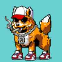 DogePunks #4174