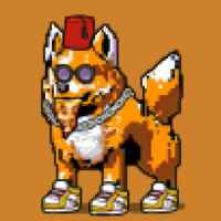 DogePunks #2484