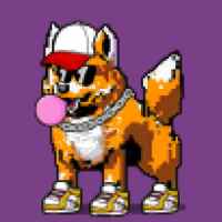 DogePunks #253