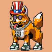 DogePunks #200