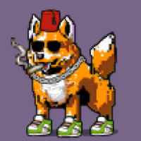 DogePunks #3763