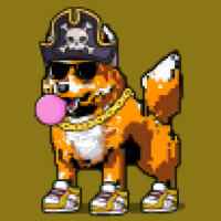 DogePunks #1641