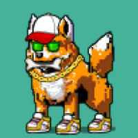 DogePunks #2734