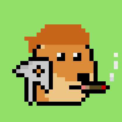 Dogepunk #3211