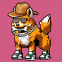 DogePunks #3473