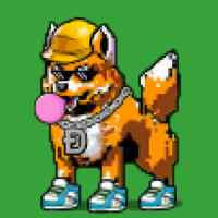 DogePunks #700