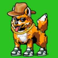DogePunks #1439
