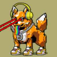 DogePunks #893