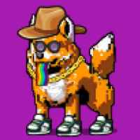 DogePunks #4170