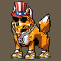DogePunks #1119