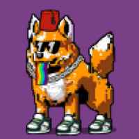 DogePunks #4563