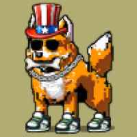 DogePunks #4691