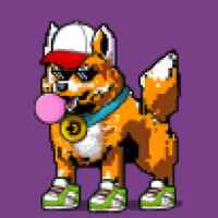 DogePunks #1515