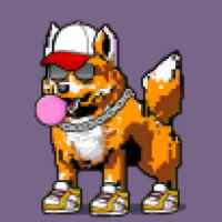 DogePunks #3170