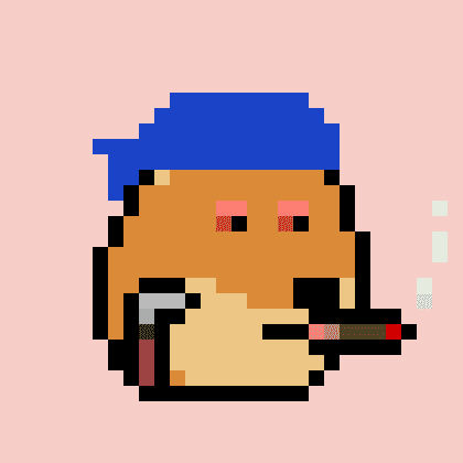Dogepunk #1348