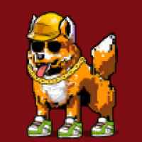 DogePunks #3063