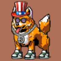 DogePunks #3576
