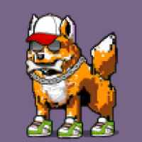 DogePunks #741