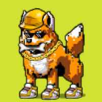 DogePunks #3994