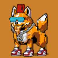 DogePunks #2154